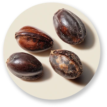Grape Seed Extract