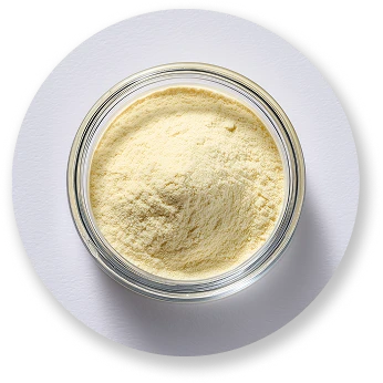 Coenzyme Q10