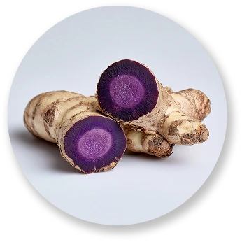 Ginger Root